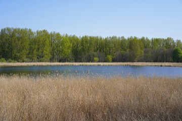 Wasserlandschaft der Karower Teiche in Berlin bei Sonnenschein