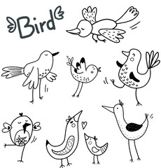 Birds set in vector. Black and white cute illustration.