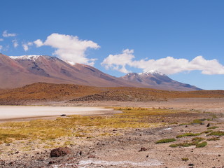 Fototapeta na wymiar Green grass and snow covered mountains, Altiplano, Bolivia