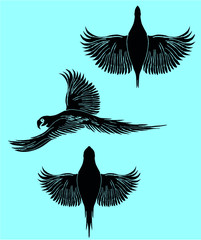 tattoo tribal parrot graphic design vector art