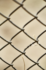 A fence from the net against the background of the brown side. There is a plant on the net. art. background