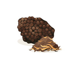 Truffle vector isolated icon. Mushroom Chips.