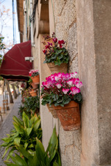 Blumentöpfe an einer Hauswand in Spanien