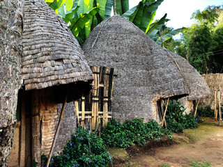 Elephant houses