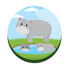Cute hippopotamuses cartoon