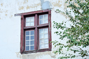 Old empty window and tree leaves