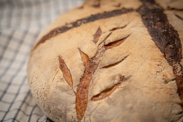 Wheat ear scored home made sourdough bread 