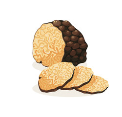 Truffle vector isolated icon. Black truffle mushroom cartoon illustration