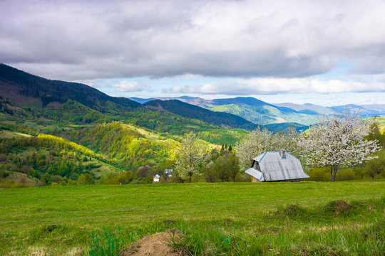 beautiful rural scenery in mountains. blossoming trees on the grassy hills. village in the distant valley. downshifting and sustainability concept