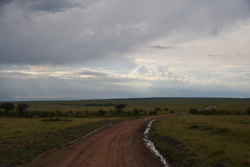 Masai Maara