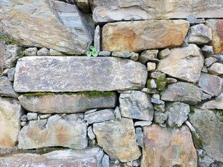 Stone Wall Douro 2 