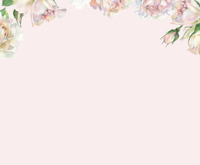 Watercolor background of falling pink roses