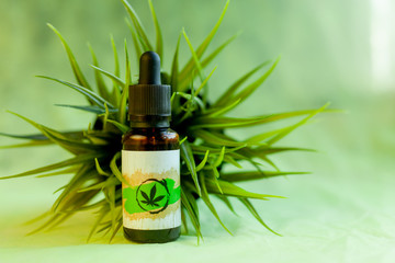 Cannabis Oil, medical marijuana concept, CBD oil