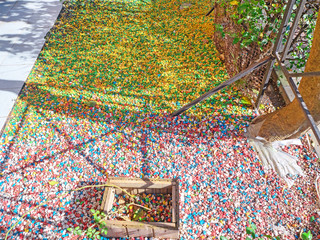 Multi colored gravel lies on the ground as a decoration