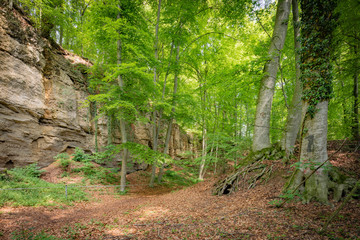 Geologische Orgeln, Oberschroffen, Schroffen, Unterneukirchen, Landkreis Altötting, Oberbayern,...