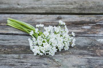 White little spring flowers on a wooden table