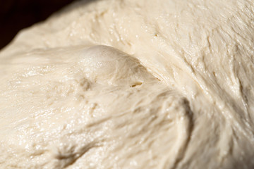 Sourdough macro image. Dough close-up.