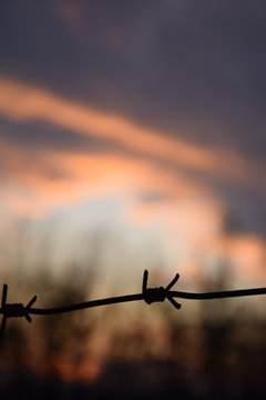 Barbed wire thread on sunset background