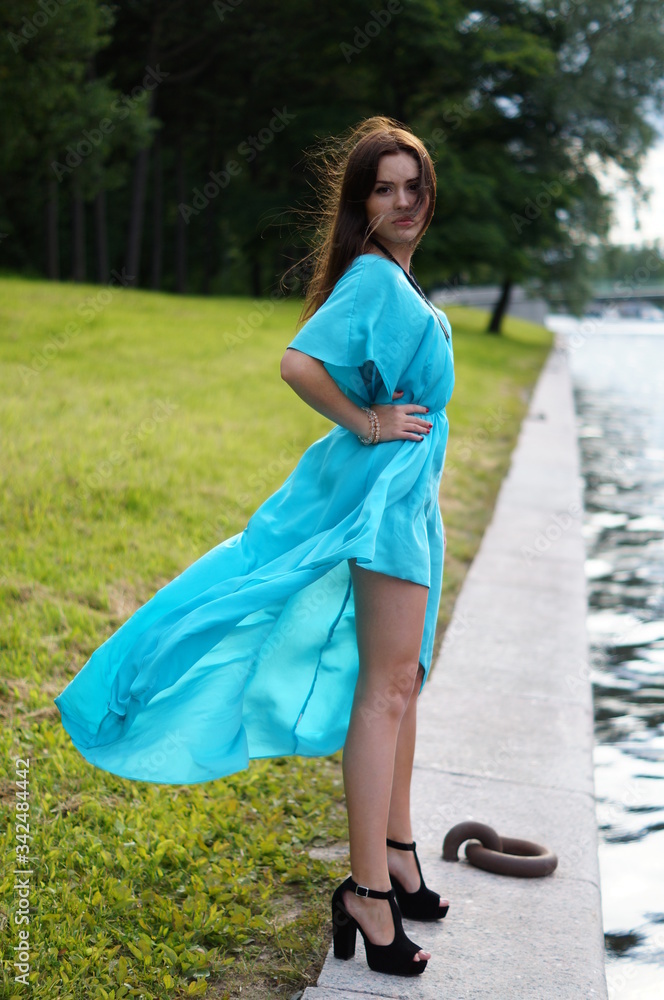 Wall mural beautiful girl in a blue long dress posing in a meadow in various elegant poses. professional model 