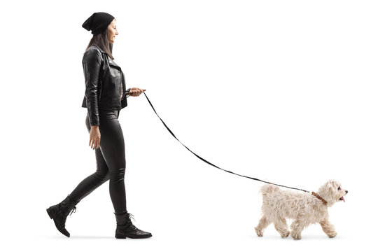 Young woman in leather jacket and pants walking a maltese poddle dog