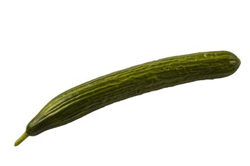 Close up view of cucumber isolated on white background. Fruits and vegetables concept.