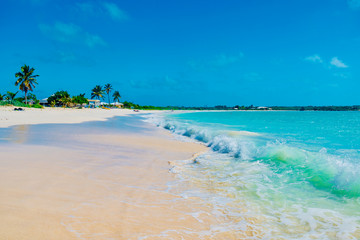 Caribbean island of Anguilla with palm trees and white beaches