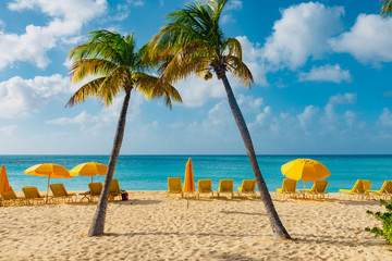 Caribbean island of Anguilla with palm trees and white beaches