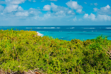 Caribbean island of Anguilla with palm trees and white beaches