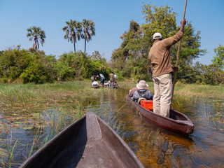 Tourist in Mokoro boats on water in the Okavango Delta in Botswana