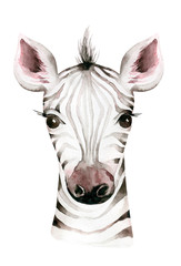 Africa watercolor savanna zebra animal. African Safari cute animals portrait character.Perfect for wallpaper print, poster, packaging ,invitation, wedding design