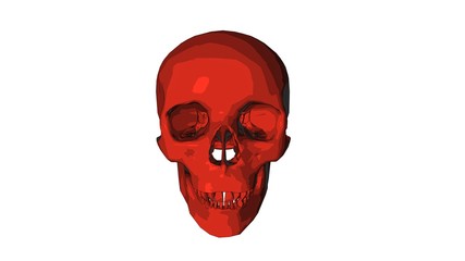 red skull sketch illustration