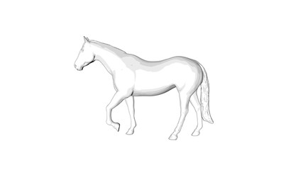 Fototapeta na wymiar horse sketch illustration