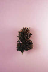 Cannabis bud isolated on pink background. Vertical orientation. Copy space