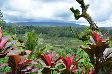 Foto op Plexiglas Reisfelder, Bali, Jatiluwih, Tegalalang, Sidemen, Vulkan, Agung, Lake, Berge, Mountain, Danaur, Batur  © Nadja
