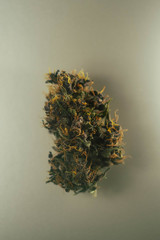 Cannabis bud isolated on silver background. Vertical orientation. Copy space