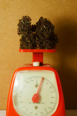 Cannabis buds lay on red counters. Medical marijuana business. Smoking weed.