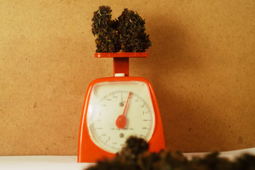 Cannabis buds lay on red counters. Medical marijuana business. Smoking weed.