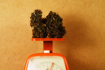 Cannabis buds lay on red counters. Medical marijuana business. Smoking weed.