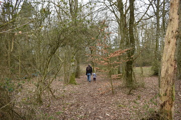 Fototapeta premium Family walking in the woods