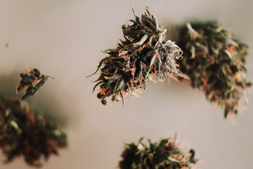 Levitate cannabis buds. Medical marijuana wallpaper. Weed CBD strains 