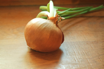 Isolated Onion