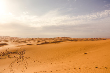  Footprints in the sand. Dunes in the Arabian desert of Dubai. 