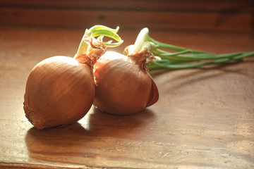 Raw Onions