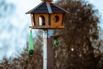 Vogelhäuschen