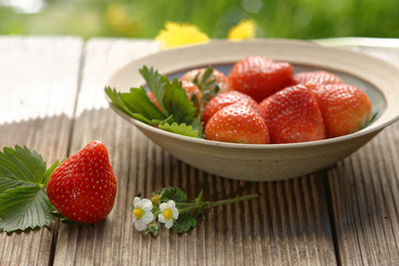 Frische Erdbeeren