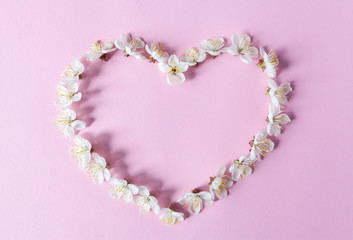 Heart of cherry flowers isolated on color background top view