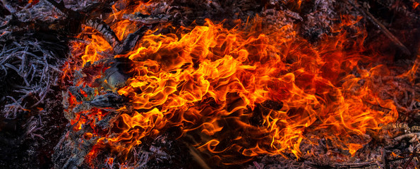 Flaming fire. Big bonfire in Shrovetide. Burning tree branches. People look at the fire. Pagan rite dedicated to the arrival of spring.