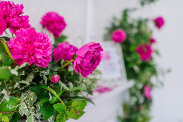 composition of bright pink peonies and greenery