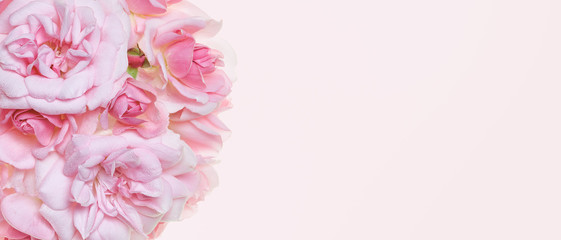 Panorama banner with round bouquet of pink roses