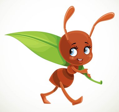 Cute cartoon ant carry big green juicy blade of grass isolated on a white background
